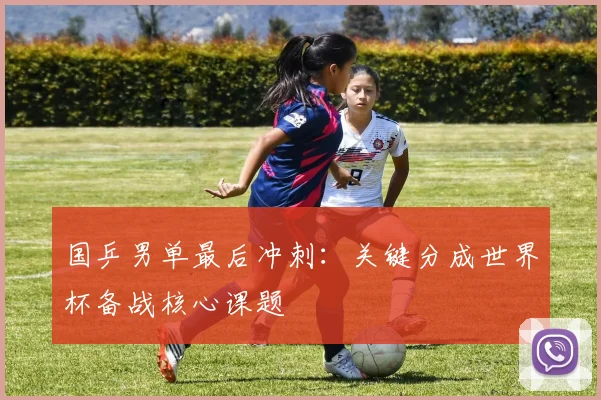 国乒男单最后冲刺：关键分成世界杯备战核心课题